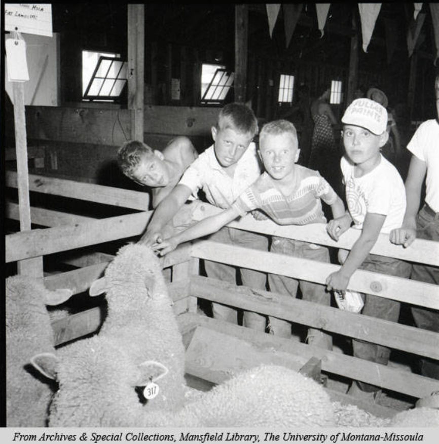 Kids at the Missoula County Fair